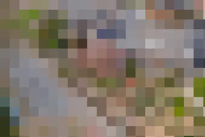 Burgemeester Meslaan 4 Tiel thumbnail 60