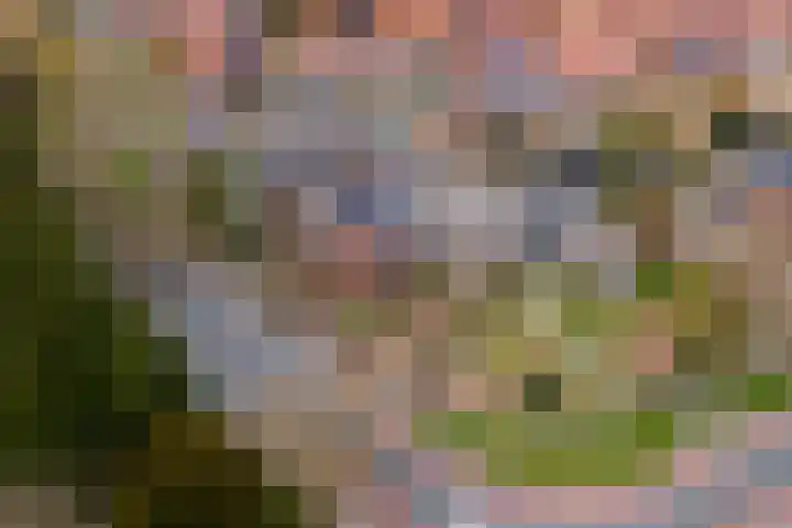 Burgemeester Meslaan 4 Tiel thumbnail 61