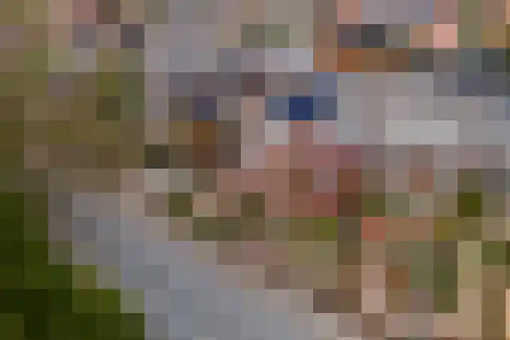 Burgemeester Meslaan 4 Tiel thumbnail 62