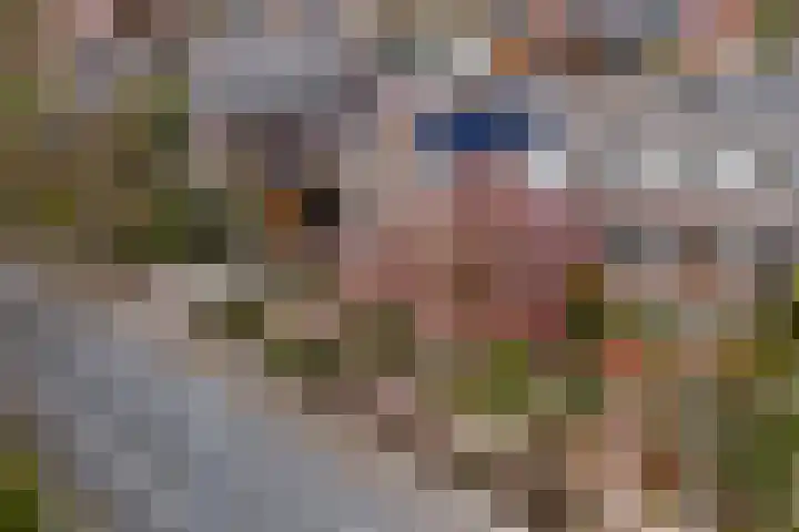 Burgemeester Meslaan 4 Tiel thumbnail 63