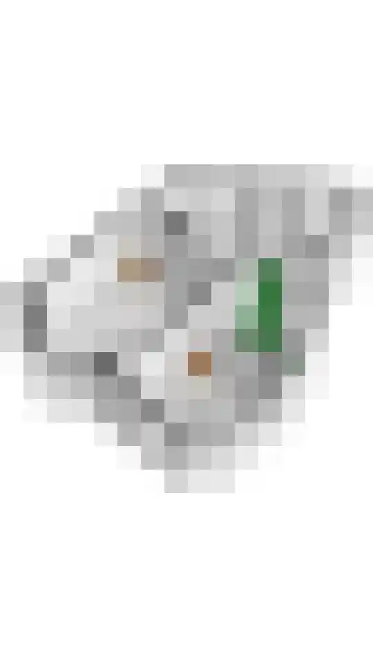 Burgemeester Meslaan 4 Tiel thumbnail 66