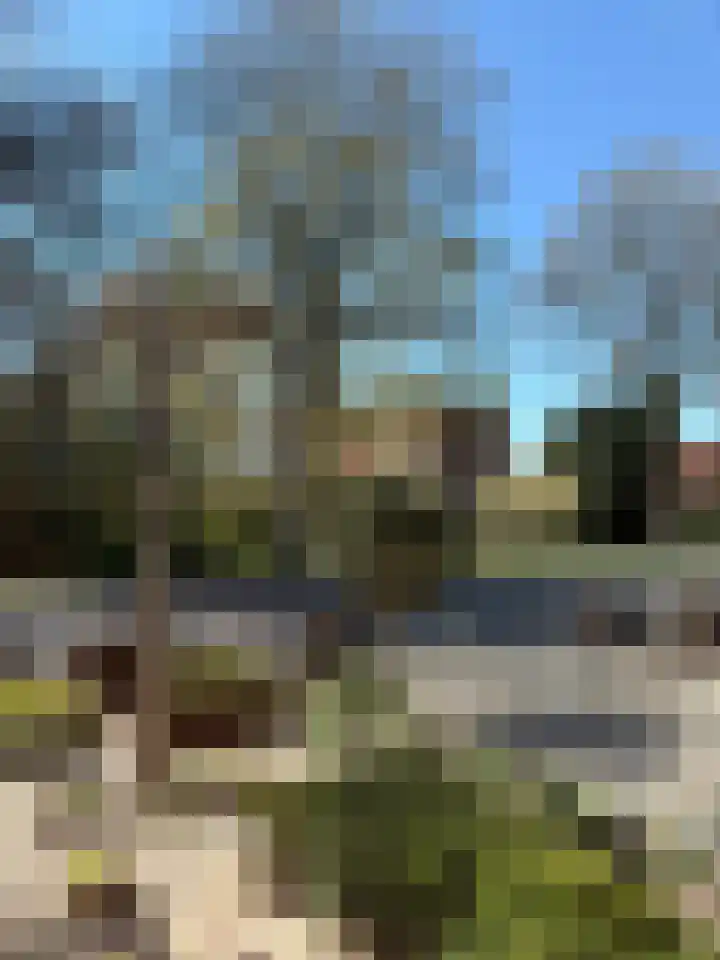 Burgemeester Meslaan 4 Tiel thumbnail 8