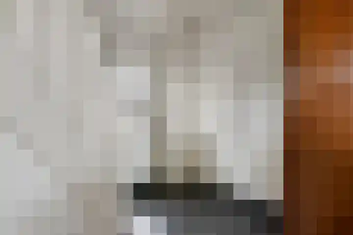 Burgemeester Meslaan 4 Tiel thumbnail 9