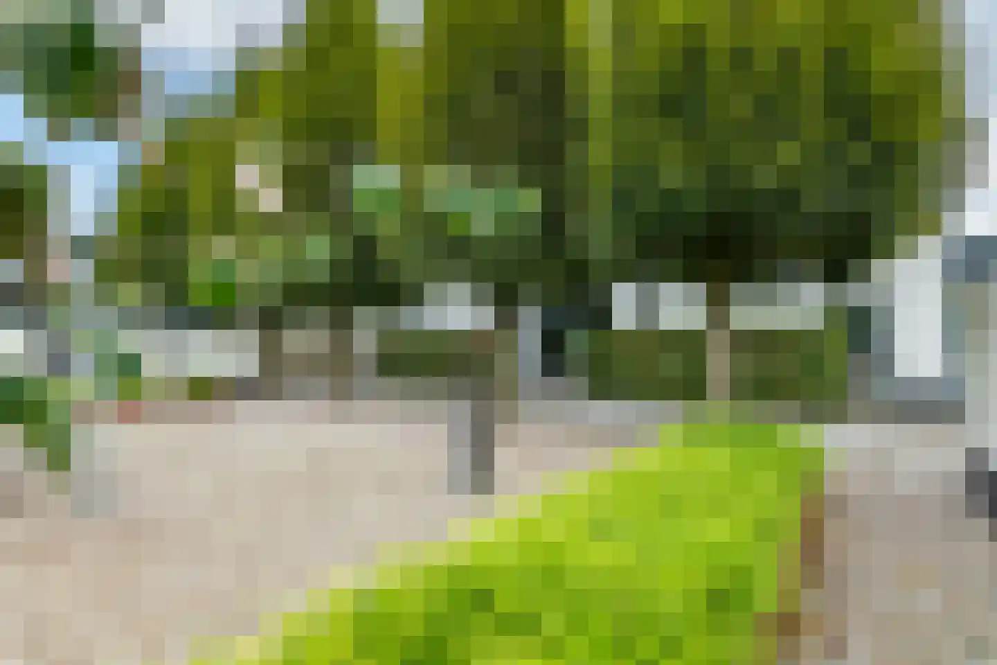 Burgemeester Meslaan 53 Tiel thumbnail 37