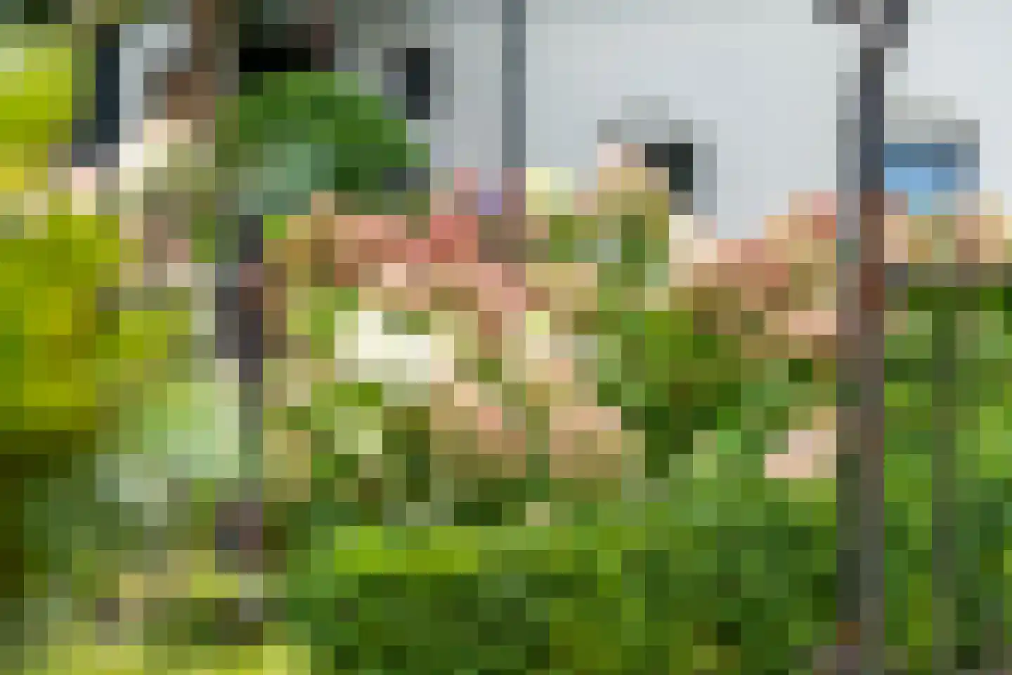 Burgemeester Meslaan 53 Tiel thumbnail 45