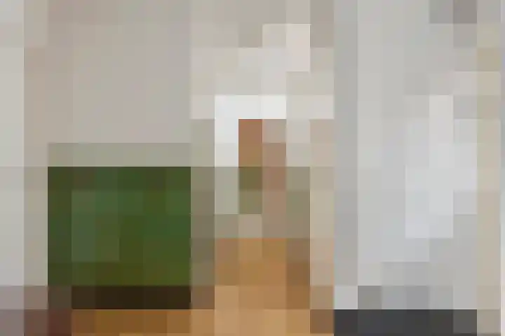 Burgemeester Meslaan 6 Tiel thumbnail 13
