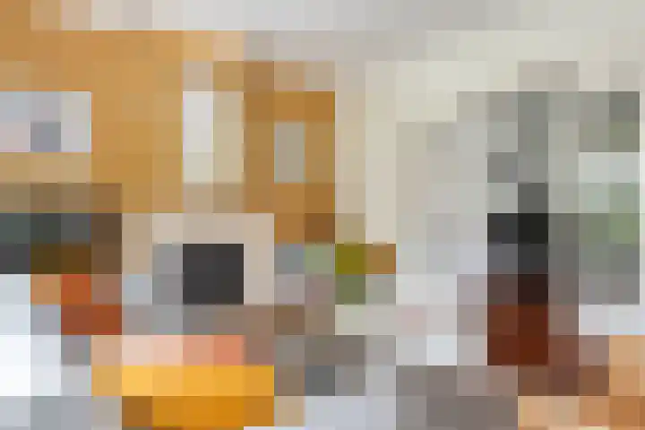 Burgemeester Meslaan 6 Tiel thumbnail 17
