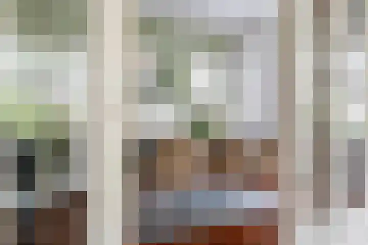 Burgemeester Meslaan 6 Tiel thumbnail 24