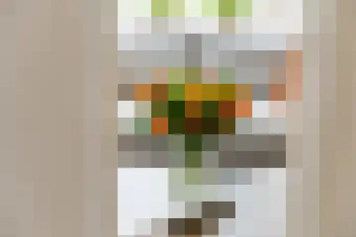 Burgemeester Meslaan 6 Tiel thumbnail 25