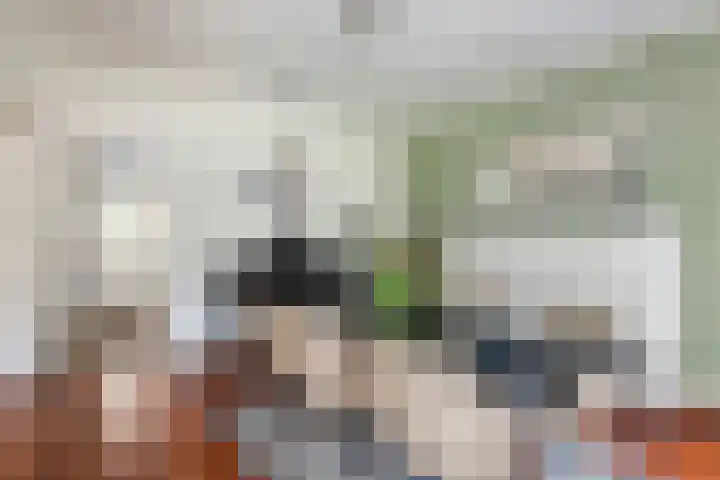 Burgemeester Meslaan 6 Tiel thumbnail 27