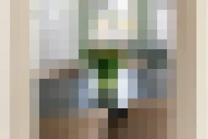 Burgemeester Meslaan 6 Tiel thumbnail 28