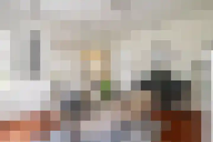 Burgemeester Meslaan 6 Tiel thumbnail 29