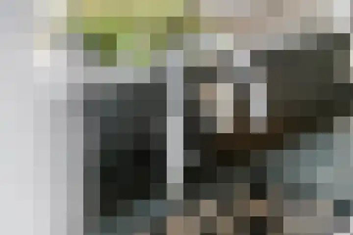 Burgemeester Meslaan 6 Tiel thumbnail 33