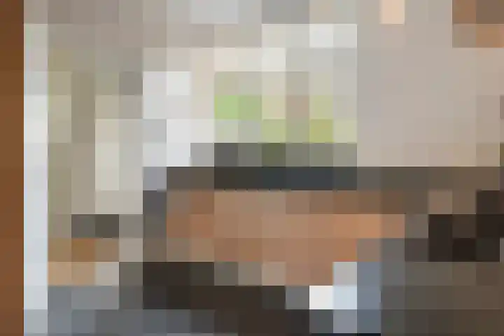 Burgemeester Meslaan 6 Tiel thumbnail 34