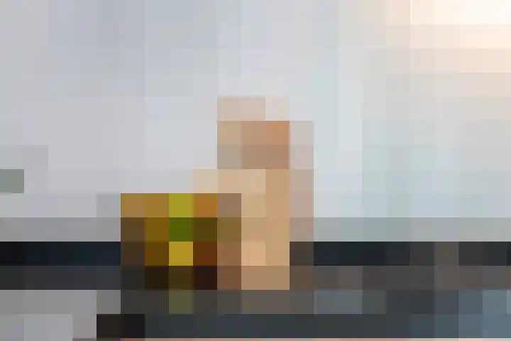 Burgemeester Meslaan 6 Tiel thumbnail 37