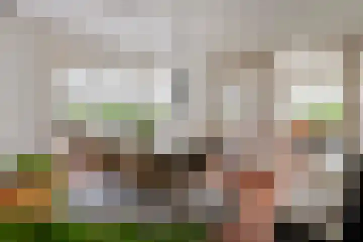 Burgemeester Meslaan 6 Tiel thumbnail 4