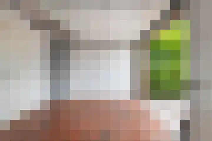 Burgemeester Meslaan 6 Tiel thumbnail 42