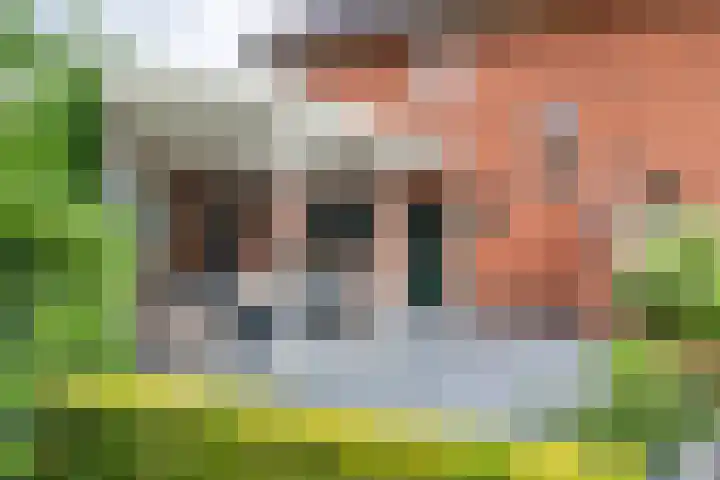 Burgemeester Meslaan 6 Tiel thumbnail 45