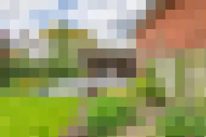 Burgemeester Meslaan 6 Tiel thumbnail 46