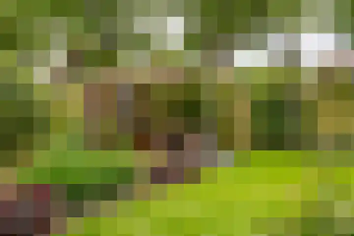 Burgemeester Meslaan 6 Tiel thumbnail 47