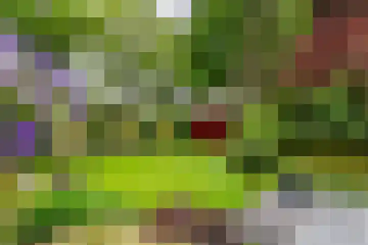 Burgemeester Meslaan 6 Tiel thumbnail 48
