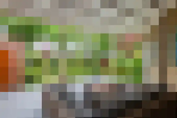 Burgemeester Meslaan 6 Tiel thumbnail 53