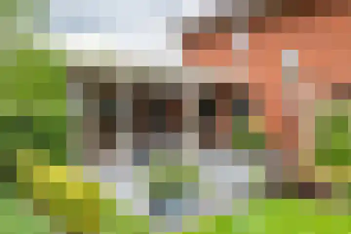 Burgemeester Meslaan 6 Tiel thumbnail 56