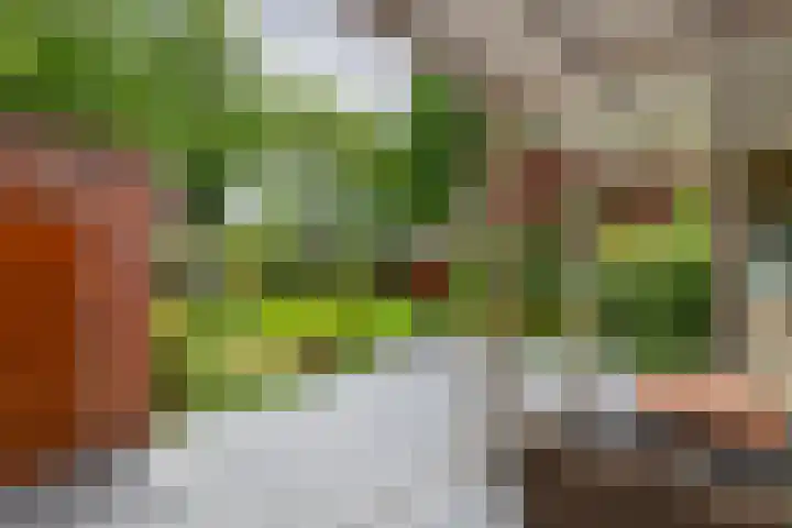 Burgemeester Meslaan 6 Tiel thumbnail 57
