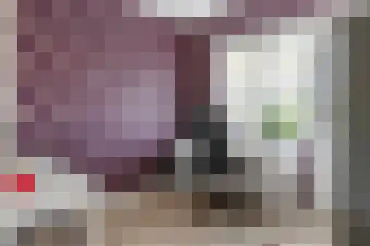 Burgemeester Meslaan 6 Tiel thumbnail 69