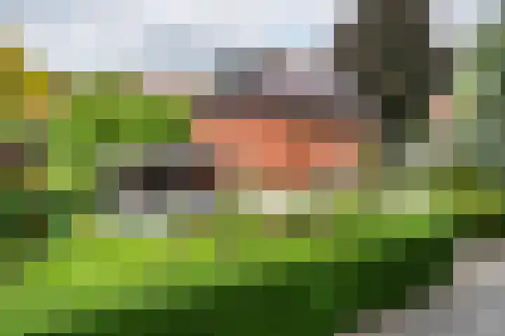 Burgemeester Meslaan 6 Tiel thumbnail 7