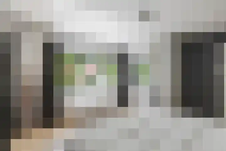 Burgemeester Meslaan 6 Tiel thumbnail 71