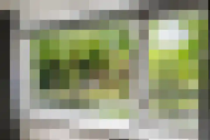 Burgemeester Meslaan 6 Tiel thumbnail 78
