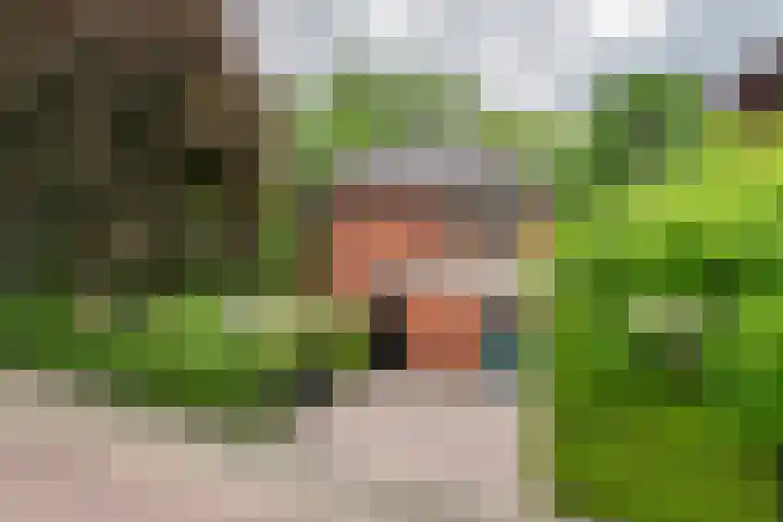 Burgemeester Meslaan 6 Tiel thumbnail 8