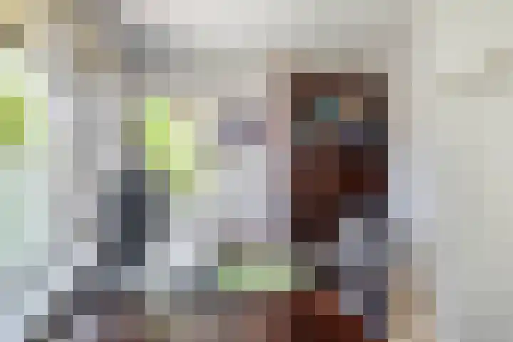 Burgemeester Meslaan 6 Tiel thumbnail 80