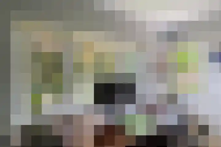 Burgemeester Meslaan 6 Tiel thumbnail 81