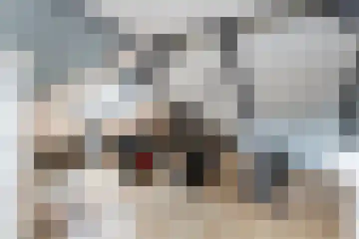 Burgemeester Meslaan 6 Tiel thumbnail 85