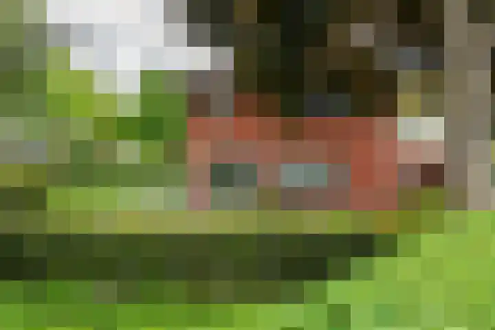 Burgemeester Meslaan 6 Tiel thumbnail 88