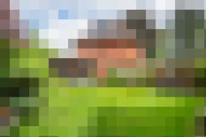 Burgemeester Meslaan 6 Tiel thumbnail 9