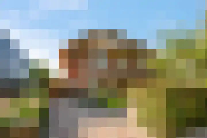 Burgemeester Meslaan 9 Tiel thumbnail 12