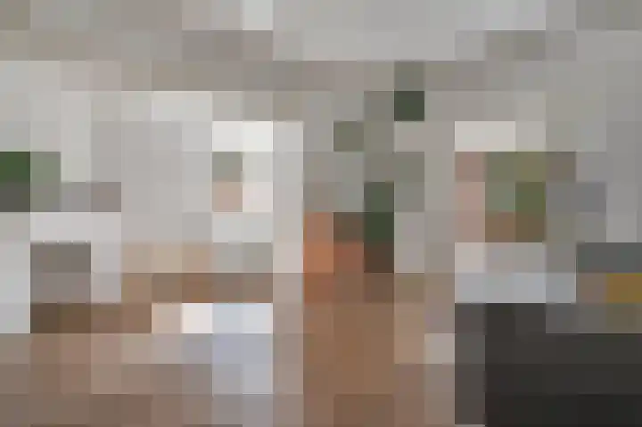 Burgemeester Meslaan 9 Tiel thumbnail 16
