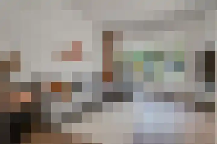 Burgemeester Meslaan 9 Tiel thumbnail 21