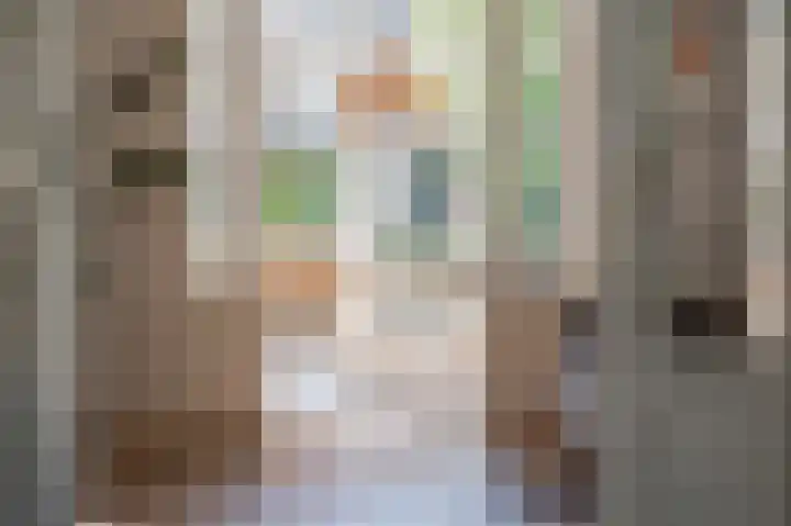 Burgemeester Meslaan 9 Tiel thumbnail 27