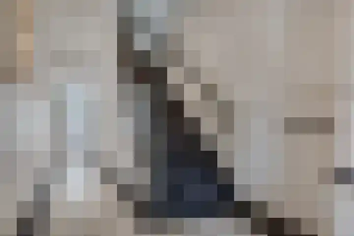 Burgemeester Meslaan 9 Tiel thumbnail 33