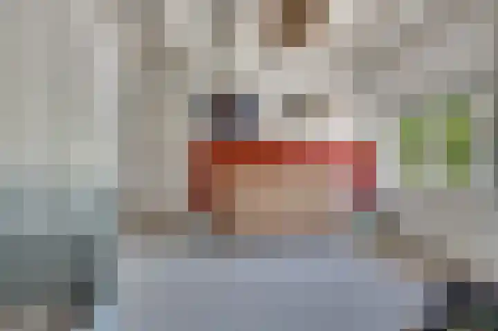 Burgemeester Meslaan 9 Tiel thumbnail 36