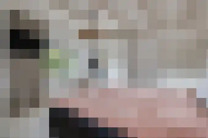 Burgemeester Meslaan 9 Tiel thumbnail 38
