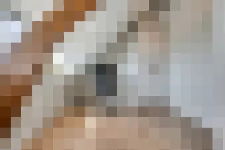 Burgemeester Meslaan 9 Tiel thumbnail 47