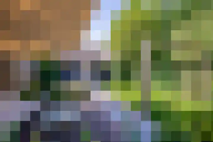 Burgemeester Meslaan 9 Tiel thumbnail 56