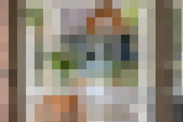 Burgemeester Meslaan 9 Tiel thumbnail 6