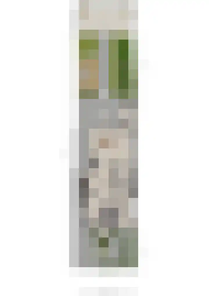 Burgemeester Meslaan 9 Tiel thumbnail 66