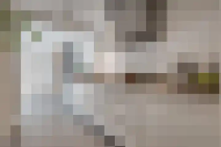 Burgemeester Meslaan 9 Tiel thumbnail 7